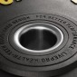 Δίσκος Bumper LivePro Ø50 (15kg)
