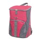 Ισοθερμικό σακίδιο ψυγείο 20L Panda AM.23361