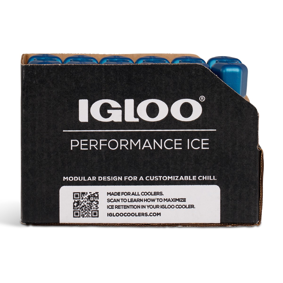 Παγοκύστη IGLOO MINI LUNCH BLOCK 317GR