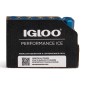 Παγοκύστη IGLOO MINI LUNCH BLOCK 317GR