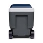 Φορητό ψυγείο IGLOO MAXCOLD 40 RLR JET