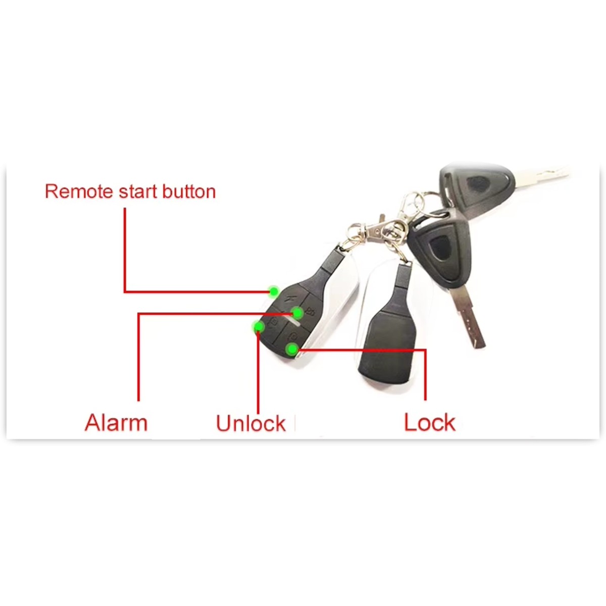 Ηλεκτρικό Moτοποδήλατο XYZ 1000W 48V 25Ah Li Velogreen