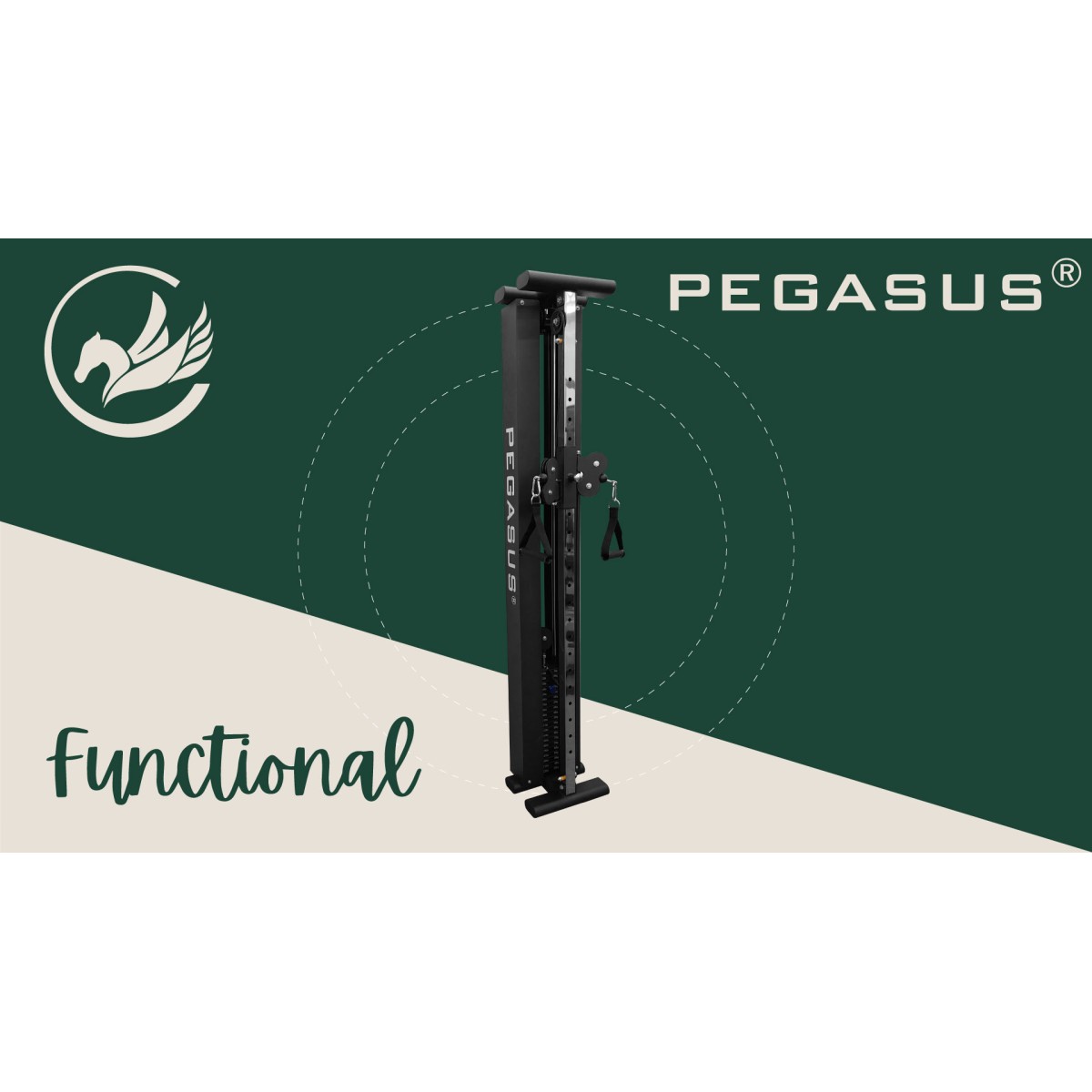 Ημιεπαγγελματικό Functional Trainer Τοίχου Pegasus® T-SC01