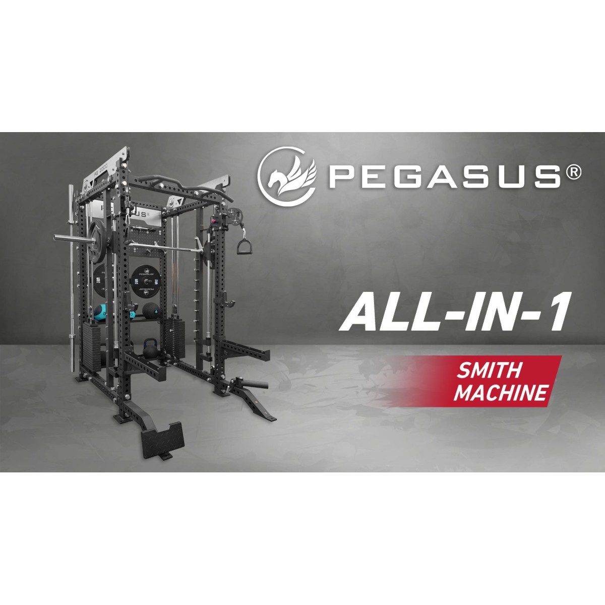 Επαγγελματικό Πολυόργανο All-In-One Trainer PG-2000 Pegasus®