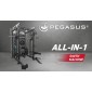 Επαγγελματικό Πολυόργανο All-In-One Trainer PG-2000 Pegasus®