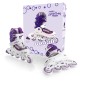 Πατίνια In-Line Skate Πλαστικά No 38-41 48909 Amila