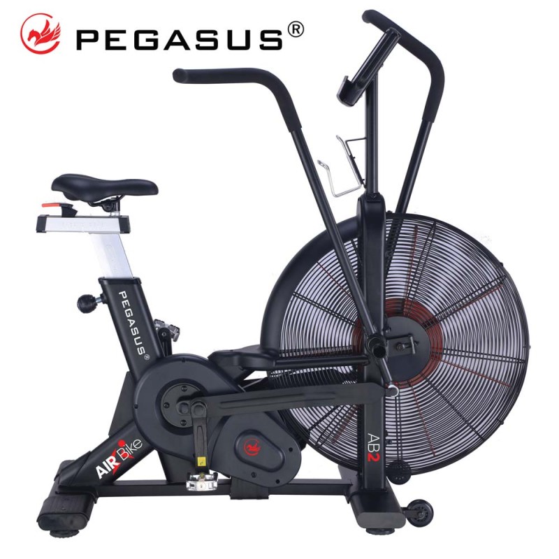 Επαγγελματικό Air Bike AB2 Pegasus®