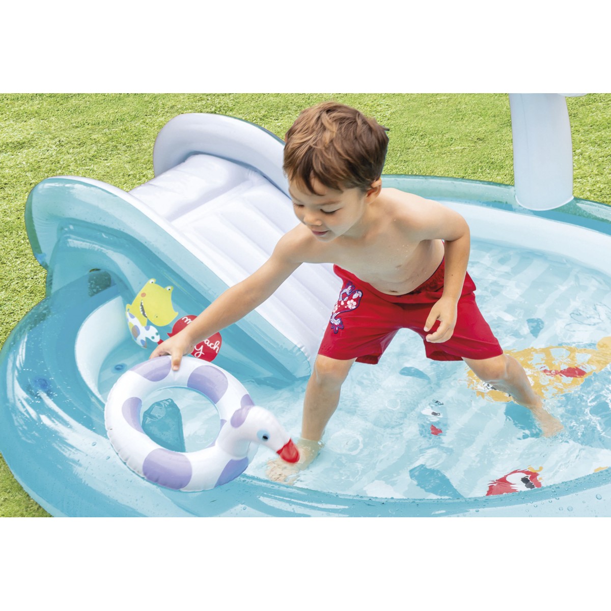 Παιδική πισίνα Gator Play Center Intex 57165