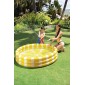 Φουσκωτή Πισίνα Παιδική Zesty Lemon Pool INTEX 58432