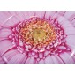 Φουσκωτό Στρώμα Pink Daisy Flower Mat INTEX 58787
