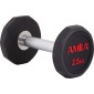 Aλτήρας Δεκάγωνος TPU Series - 2,5Kg 90581 Amila
