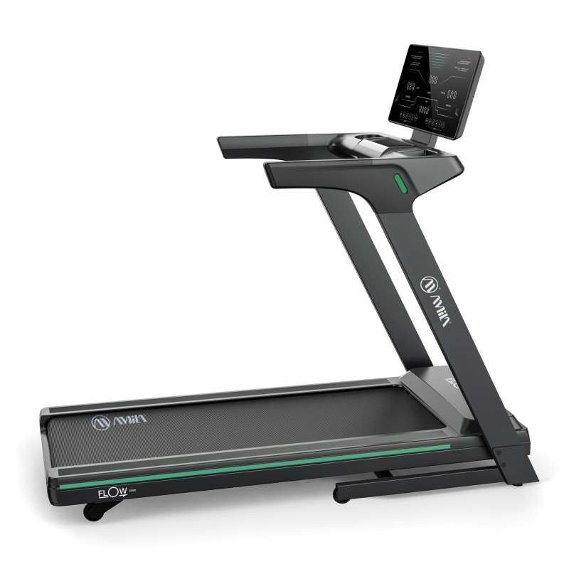 Διάδρομος Γυμναστικής FLOW F250PI Amila 92236
