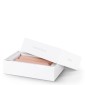 Αλτήρες Estetica Palmo 2x1,5 kg Amila 96703