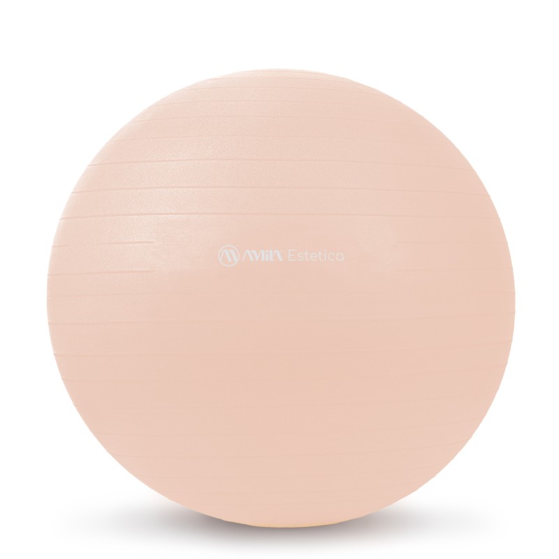 Μπάλα Γυμναστικής Estetica Gym Ball 55 cm Amila 99701