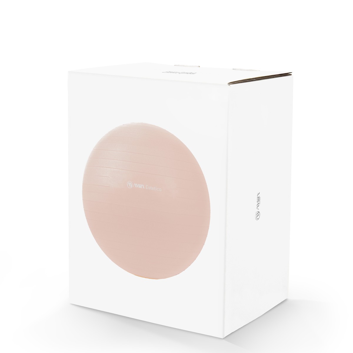 Μπάλα Γυμναστικής Estetica Gym Ball 65 cm Amila 99702