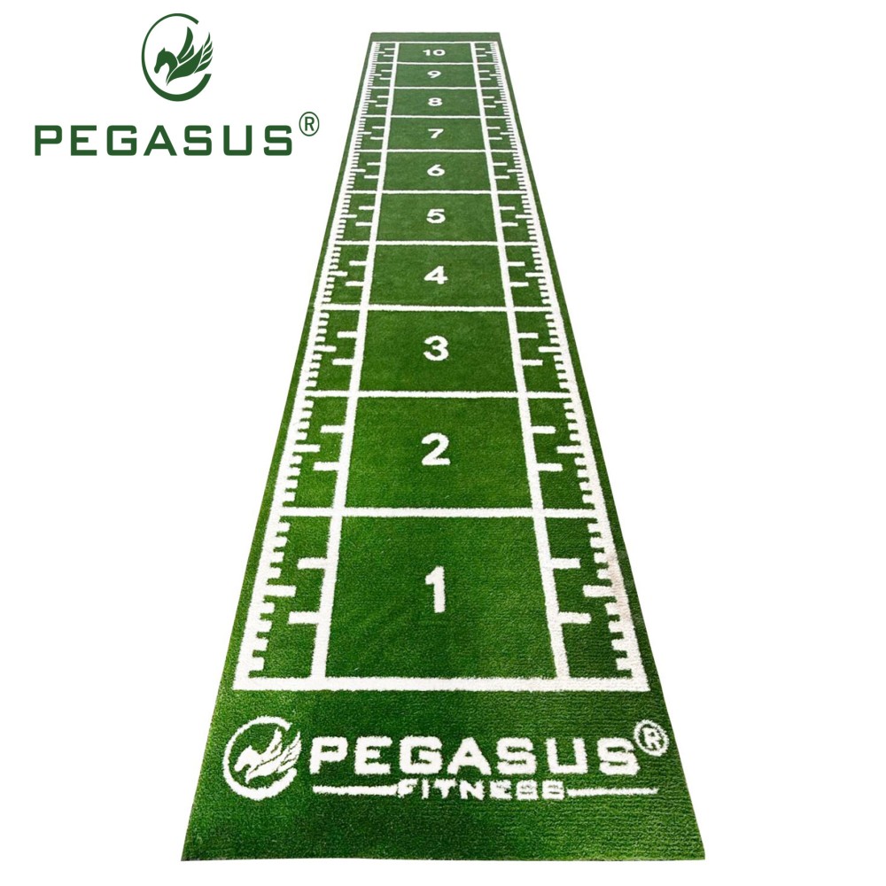 Συνθετικός Χλοοτάπητας 2x11m (3159) Pegasus®