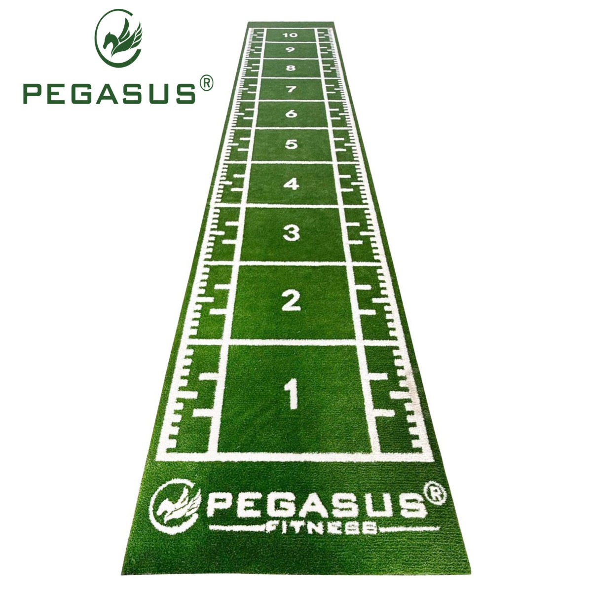 Συνθετικός Χλοοτάπητας 2x11m (3159) Pegasus®