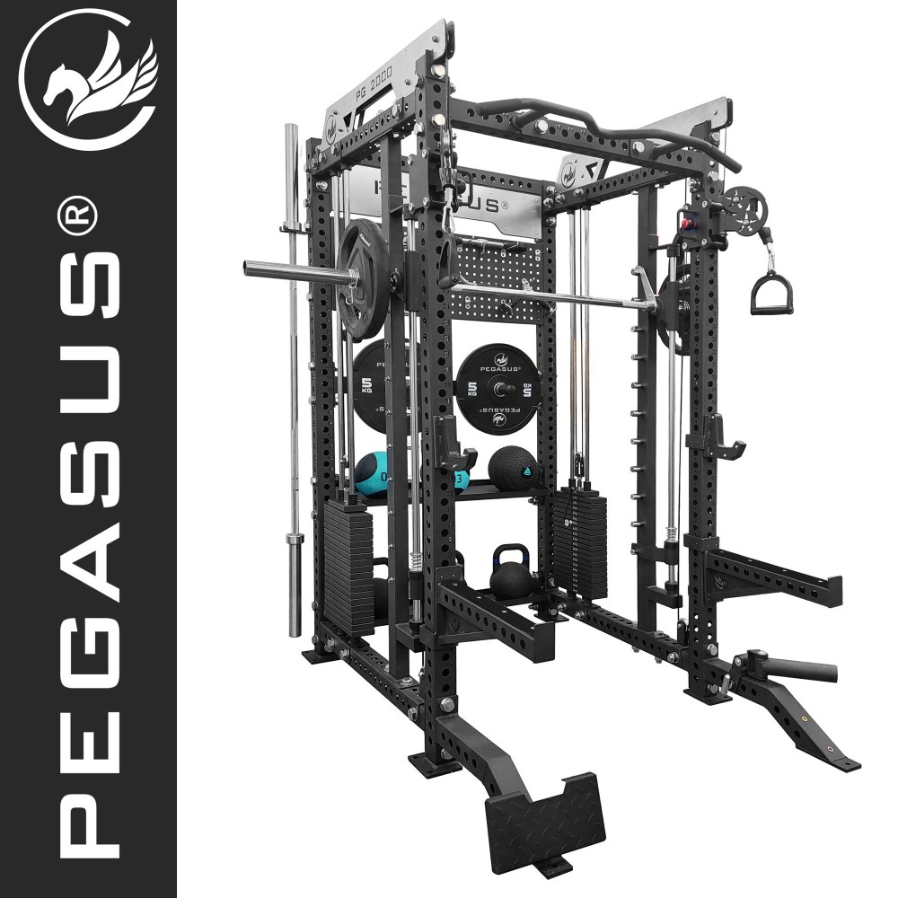 Επαγγελματικό Πολυόργανο All-In-One Trainer PG-2000 Pegasus®