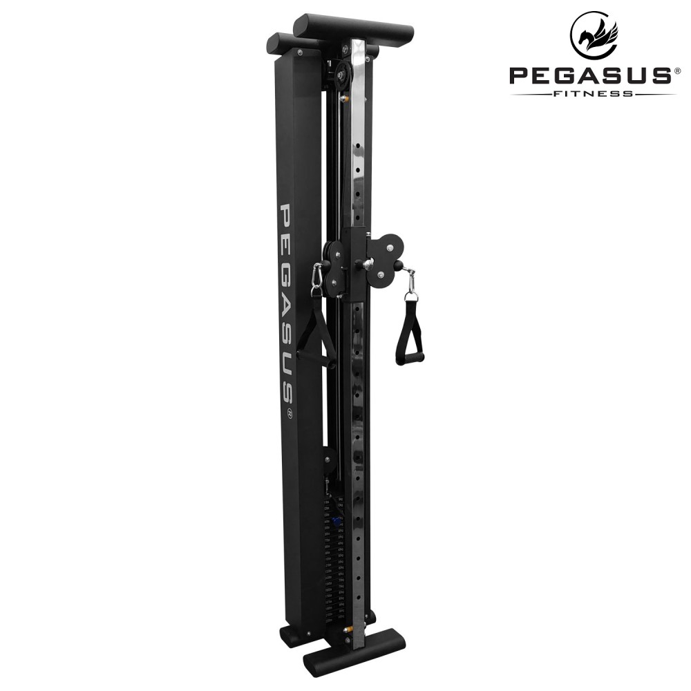 Ημιεπαγγελματικό Functional Trainer Τοίχου Pegasus® T-SC01