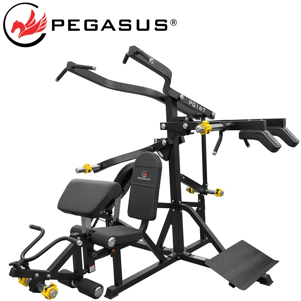 Πολυόργανο 3 Ατόμων PG-167 Pegasus® 