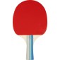 Σετ 2 Ρακέτες Ping Pong & 2 Μπαλάκια "Matchtime" Avento