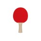 Σετ 2 Ρακέτες Ping Pong & 3 Μπαλάκια "Recreational"