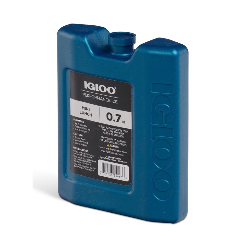 Παγοκύστη IGLOO MINI LUNCH BLOCK 317GR