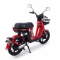 Ηλεκτρικό Moτοποδήλατο RDB SULINA 1000 48V/30Ah Li Velogreen