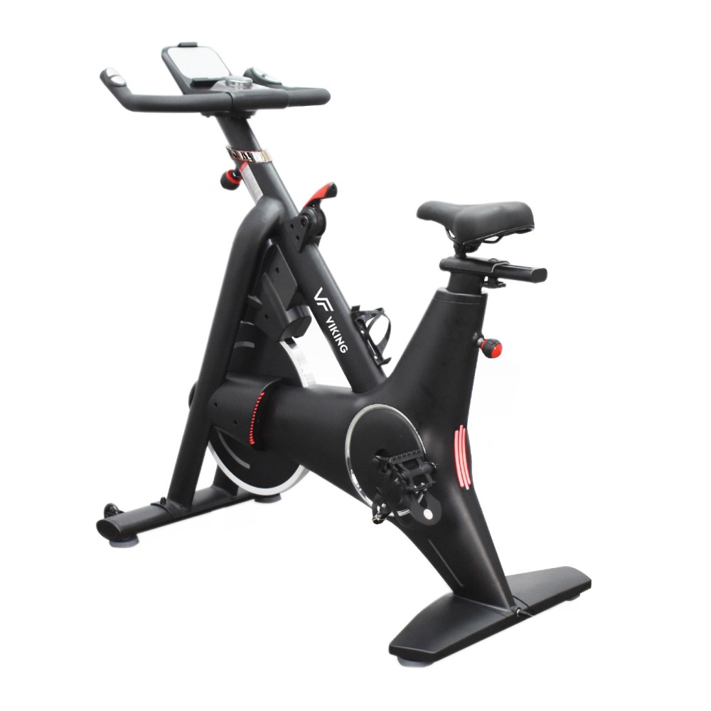Ποδήλατο Spin Bike Viking Sparkle 