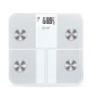 Ζυγαριά Smart Amila FITBODY 4R 95363