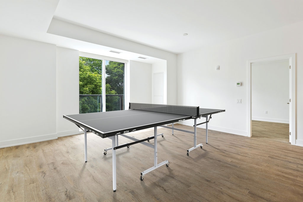trapezi-ping-pong-esoterikou-xorou-stag-42849